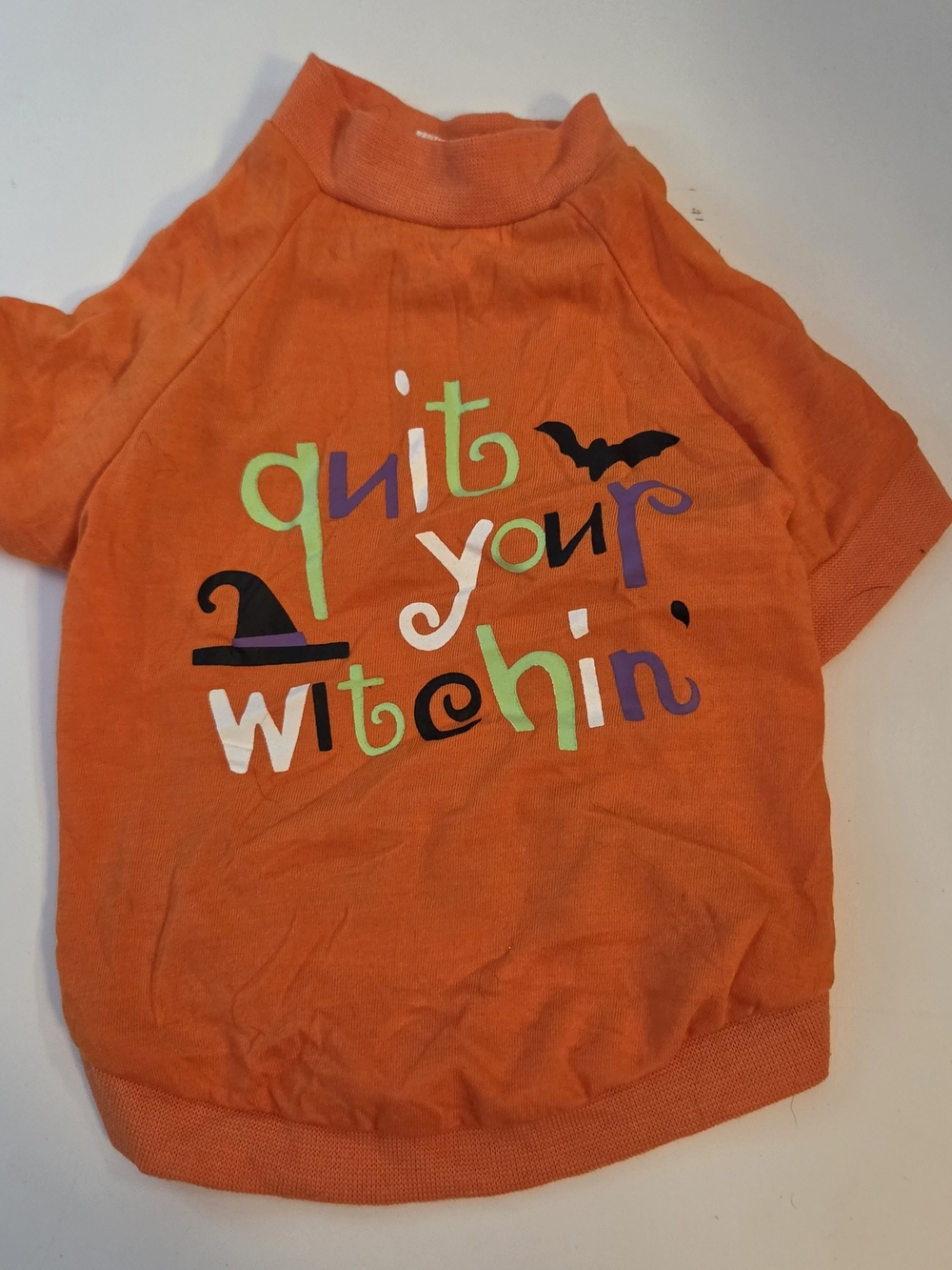 🆕️ Thrills & Chills Halloween Witch Orange Dog T-Shirt
